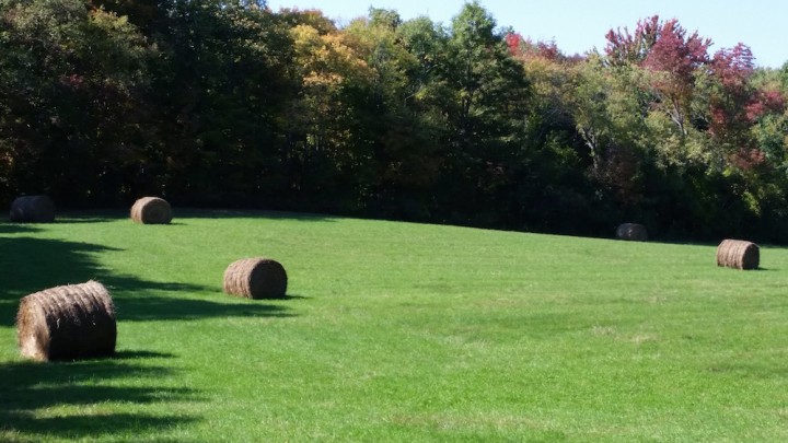 Green Acres