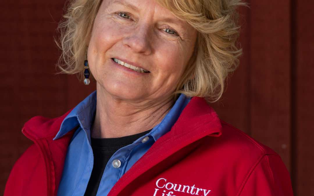 Linnea VanTassel, NYS Licensed Real Estate Broker and Partner