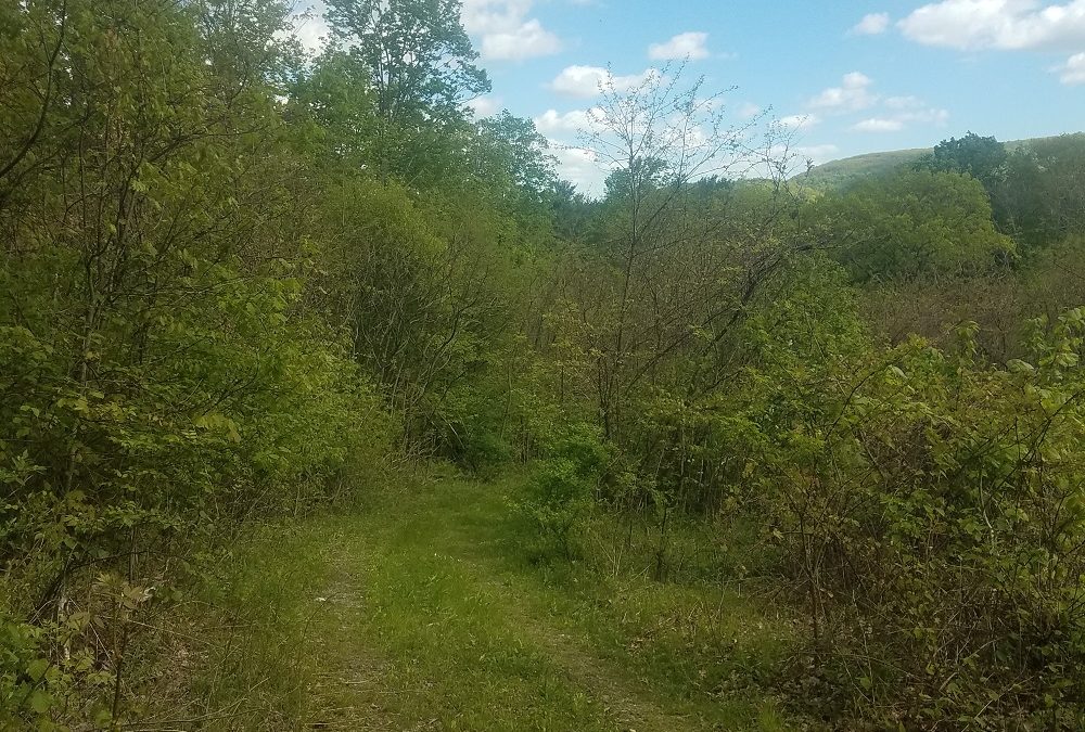 Calling all nature lovers