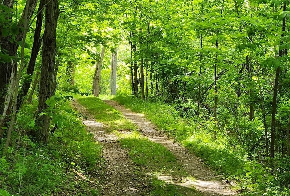 Peaceful, beautiful, interesting…