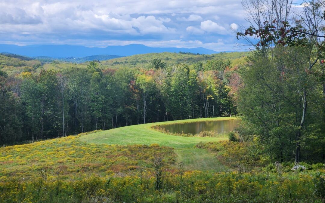 Spectacular Catskill Mt Views