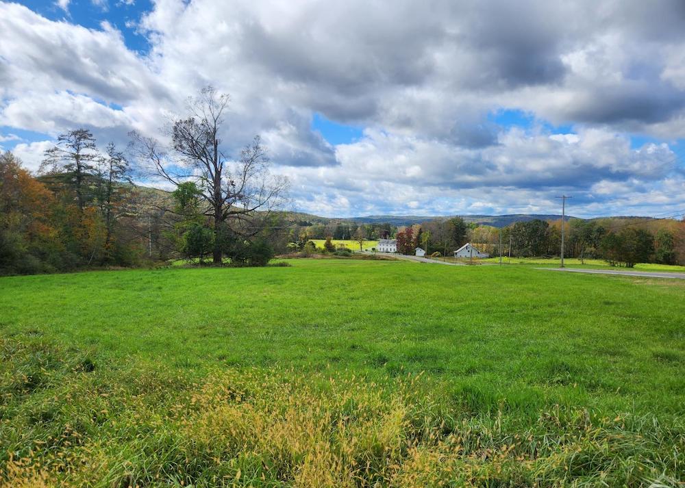 Farm, fish, build Country Life Real Estate LLC