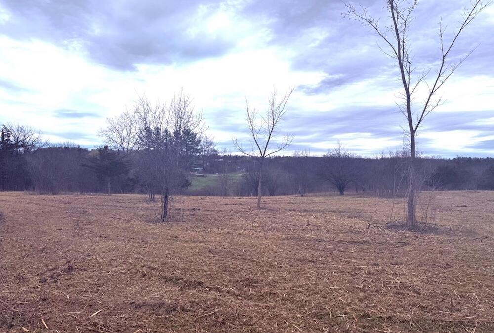 Lovely 5 Acres