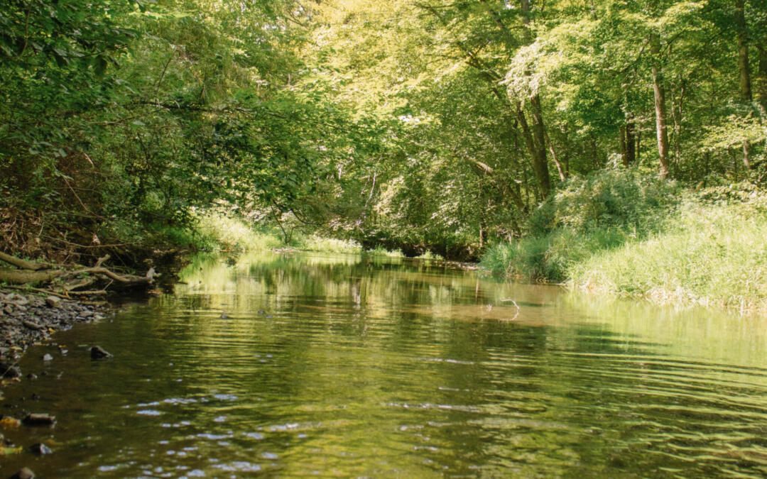 Copake Lake Opportunity